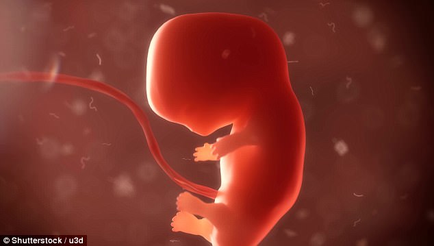 Little guy praying for pro-life politicians!